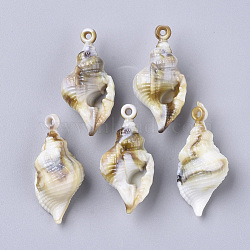 Acrylic Pendants, Imitation Gemstone Style, Spiral Shell, Floral White, 33.5x16.5x13mm, Hole: 1.6mm, about 229pcs/500g.(OACR-N130-009)