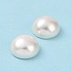 Shell Pearl Half Drilled Beads(X-BSHE-G011-01-12mm)-4