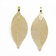 Iron Big Pendants, Electroplate Natural Leaf, Leaf, Light Gold Plated, 52~53x19~20x1.5mm, Hole: 3x5.5mm(X-IFIN-T006-08LG)