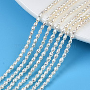 Natural Cultured Freshwater Pearl Beads Strands, Rice, Seashell Color, 3~3.5x2.5mm, Hole: 0.6mm, about 90~92pcs/strand, 13.78 inch(35cm)(PEAR-N012-02G)