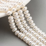 Natural Cultured Freshwater Pearl Beads Strands, Grade 5A, Rondelle, PapayaWhip, 6~7mm, Hole: 0.6mm, about 44pcs/strand, 6.89 inch(17.5cm)(PEAR-C003-30B)