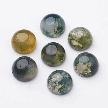 Natural Moss Agate Cabochons, Half Round/Dome, Sea Green, 8x4mm