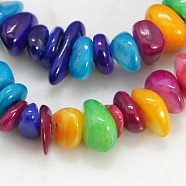 Natural Shell Beads Strands, Dyed, Amorphous, Mixed Color, 5~29x4~9x1~5mm, hole: 1mm, 130~170pcs/strand, 30 inch(X-BSHE-D004-2)