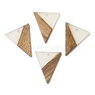 Luminous Glow in the Dark Wood & Resin Pendant, Triangle Charms, Camel, 37x31x3mm, Hole: 2mm(WOOD-H104-03)