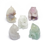 Natural Fluorite Sculpture Display Decorations, for Home Office Desk, Panda, 18~20x18~20.5x27~30.5mm(G-F719-55B)