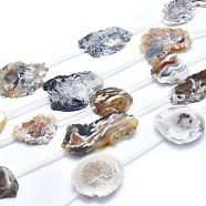 Natural Agate Beads Strands, Nuggets, 22~45x10~40x4~6mm, Hole: 1mm, about 6~8pcs/strand, 15.3 inch(39cm)(G-I213-14)