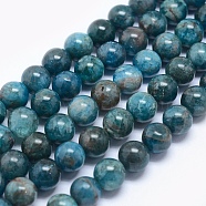 Natural Apatite Beads, Round, 8mm, Hole: 1mm(X-G-E481-05-8mm)