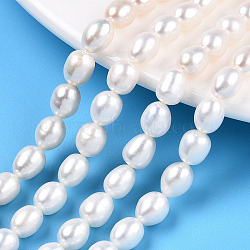Natural Cultured Freshwater Pearl Beads Strands, Rice, Seashell Color, 7.5~8.3x6~6.7mm, Hole: 0.7~0.8mm, about 23pcs/strand, 7.09 inch(18cm)(PEAR-N012-06J)