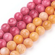 Shell Beads Strands, Round, Dyed, Mixed Color, 8mm, Hole: 0.8mm, about 50pcs/strand, 15.9 inch(40.5cm)(BSHE-L041-07B)