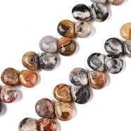 Natural Crazy Agate Beads Strands, Teardrop, Top Drilled, 12~12.5x10~11x5~5.5mm, Hole: 1~1.2mm, about 33pcs/strand, 8.86~10.2''(22.5~25.5cm)(G-T138-128)