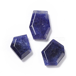 Natural Sodalite Pendants, Polygon Charms, 21~26x16~19x6mm, Hole: 1.4mm(G-C002-01D)