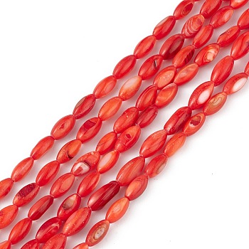 Natural Freshwater Shell Dyed Beads Strands, Horse Eye, Orange Red, 9.5x5mm, Hole: 0.8mm, about 41pcs/strand, 14.96''(38cm)