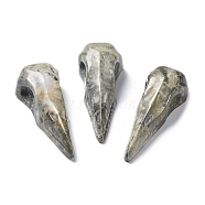 Natural Pyrite Home Display Decoration, Reiki Energy Stone, Crow Mouth, 61~66x24~25x16~18mm(G-K338-04A)