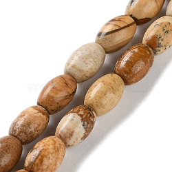 Natural Picture Jasper Beads Strands, Rice, 9x6mm, Hole: 1mm, about 44pcs/strand, 15.94 inch(40.5cm)(G-I369-B04-01)