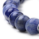 Natural South Africa Sodalite Beads Strands(G-S259-35-10mm)-3