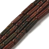 Natural Polychrome Jasper/Picasso Stone/Picasso Jasper Beads Strands, Column, 13.5~14x4~4.5mm, Hole: 1.2mm, about 28pcs/strand, 15.16''(38.5cm)(G-D464-36)