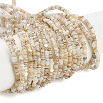 Natural Freshwater Shell Beads Strands, Rondelle, Wheat, 3x1~2mm, Hole: 0.5mm, about 200~230pcs/strand, 14.57~14.76''(37~37.5cm)