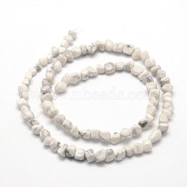 Natural Howlite Beads Strands(G-F465-05)-2