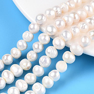 Natural Cultured Freshwater Pearl Beads Strands, Potato, Creamy White, 6~10x7~9mm, Hole: 0.6mm, about 23~24pcs/strand, 6.69~6.89 inch(17~17.5cm)(PEAR-N013-08G-01)