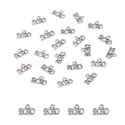Tibetan Style Zinc Alloy Charms, New Year 2020, Antique Silver, 14.3x9.5x1.5mm, Hole: 1.6mm(PALLOY-I141-30AS-A)