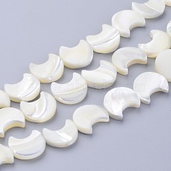 Natural White Shell Beads Strands, Mother of Pearl Shell Beads, Moon, White, about 11mm wide, 12mm long, 3mm thick, hole: 1mm, 34 pcs/strand, 16 inch(SSHEL-12X11)