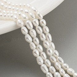 Natural Cultured Freshwater Pearl Beads Strands, Rice, Grade 5A, Snow, 2.8~3.2mm, Hole: 0.3mm, about 31pcs/strand, 6.69''~6.89''(17~17.5cm)(PEAR-P062-01H)