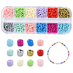 48G 12 Colors Baking Paint Glass Round Seed Beads, Mixed Color, 3~3.5x2mm, Hole: 1~1.2mm, about 89pcs/4g, 4g/color(SEED-YW0002-78)