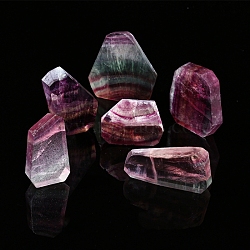 Natural Fluorite Sculpture Display Decorations, for Home Office Desk, Mixed Shapes, 5~10mm(PW-WG14D12-01)