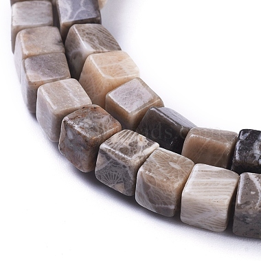 Natural Fossil Coral Beads Strands(G-D0020-13A)-3
