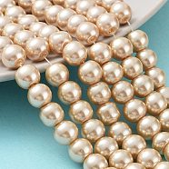 Baking Painted Pearlized Glass Pearl Round Bead Strands, Moccasin, 8~9mm, Hole: 1mm, about 105pcs/strand, 31.4 inch(X-HY-Q330-8mm-42)