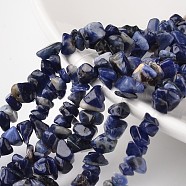 Nuggets Natural Blue Spot Stone Bead Strands, 4~6x8~12x2~4mm, Hole: 1mm; about 34.6 inches(G-M344-18)