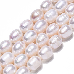 Natural Cultured Freshwater Pearl Beads Strands, Rice, Seashell Color, 10~11.5x8~9mm, Hole: 0.7mm, about 32~33pcs/strand, 13.90 inch~14.37 inch(35.3~36.5cm)(PEAR-N012-09A)
