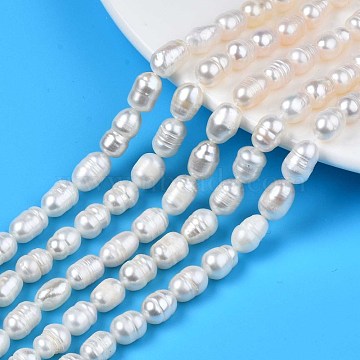 Natural Cultured Freshwater Pearl Beads Strands, Rice, Seashell Color, 8.5~12x6.5~7.5mm, Hole: 0.8mm, about 32~39pcs/strand, 13.82 inch~14.37 inch(35.1cm~36.5cm)(PEAR-N012-07A)