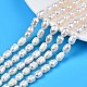 Natural Cultured Freshwater Pearl Beads Strands(PEAR-N012-07A)-1