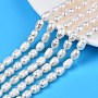 Natural Cultured Freshwater Pearl Beads Strands, Rice, Seashell Color, 8.5~12x6.5~7.5mm, Hole: 0.8mm, about 32~39pcs/strand, 13.82 inch~14.37 inch(35.1cm~36.5cm)
