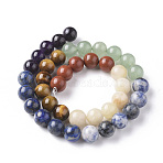 7 Chakra Theme Natural Red Rainbow Jasper & Yellow Aventurine & Tiger Eye & Green Aventurine & Blue Spot Stone & Lapis Lazuli & Amethyst Beads Strands, Round, Chakra, 10mm, Hole: 1mm, about 39pcs/strand, 15 inch(40cm)(G-F668-23-10mm)