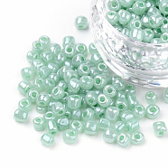 (Repacking Service Available) Glass Seed Beads, Ceylon, Round, Aqua, 6/0, 4mm, Hole: 1.5mm, about 12g/bag(SEED-C020-4mm-154)