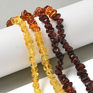 Gradient Color Natural Amber Beads Strands, Nuggets, Mixed Color, 5~8mm, Hole: 1mm, about 73pcs/strand, 13.90''(35.3cm)(G-K387-F01-01)