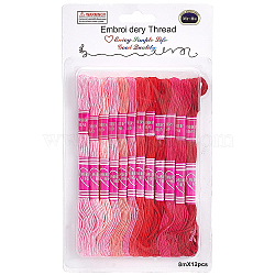 12 Skeins 6-Ply Polycotton(Polyester Cotton) Embroidery Floss, Cross Stitch Threads, Gradient Color, Red, 0.8mm(DIY-CY0002-94E)