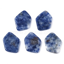 Natural Blue Spot Jasper Cabochons, Polygon, 19.5x14x3mm(G-S359-323B)