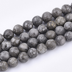 Natural Maifanite/Maifan Stone Beads Strands, Round, Dyed, 8~8.5mm, Hole: 1mm, about 47pcs/strand, 15.5 inch(X-G-Q462-8mm-21)