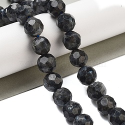 Natural Larvikite Beads Strands, Faceted Football Hexagonal Cut, Round, 9.5~10mm, Hole: 1.2mm, about 39pcs/strand, 15.08 inch(38.3cm)(G-C150-B06-02)