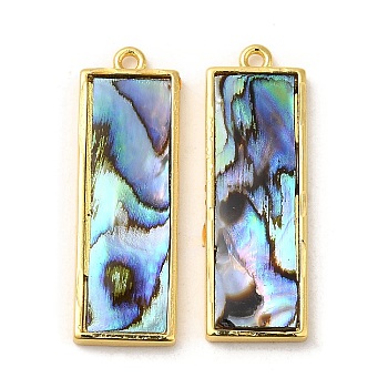 Natural Paua Shell Pendants, Rectangle Charms with Brass Findings, Golden, 27.5x9x2.5mm, Hole: 1.2mm