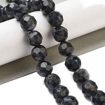 Natural Larvikite Beads Strands, Faceted Football Hexagonal Cut, Round, 9.5~10mm, Hole: 1.2mm, about 39pcs/strand, 15.08 inch(38.3cm)