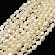Natural Cultured Freshwater Pearl Beads Strands(PEAR-L001-18)-1