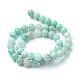 Natural Amazonite Beads Strands(G-T055-10mm-17)-2