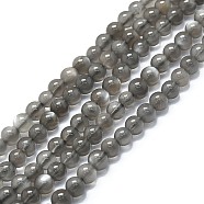 Natural Grey Moonstone Beads Strands, Round, 4.5~5mm, Hole: 0.8mm, about 78pcs/strand, 15.55''(39.5cm)(G-A245-A05-01)
