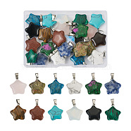 24Pcs 12 Styles Star Natural & Synthetic Gemstone Pendants, with Platinum Tone Brass Findings, 22~23x20~24x5~7mm, Hole: 2x7mm, 2pcs/style(G-YS0001-22)