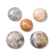 Natural Crazy Agate Cabochons, Half Round, 18~30x6~8mm(G-P469-15B)