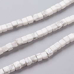 Natural Howlite Beads Strands, Cube, 4x4x4mm, Hole: 0.7mm, about 93pcs/Strand, 15.75 inch(40cm)(G-F631-K11)